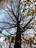 dscf0829.jpg